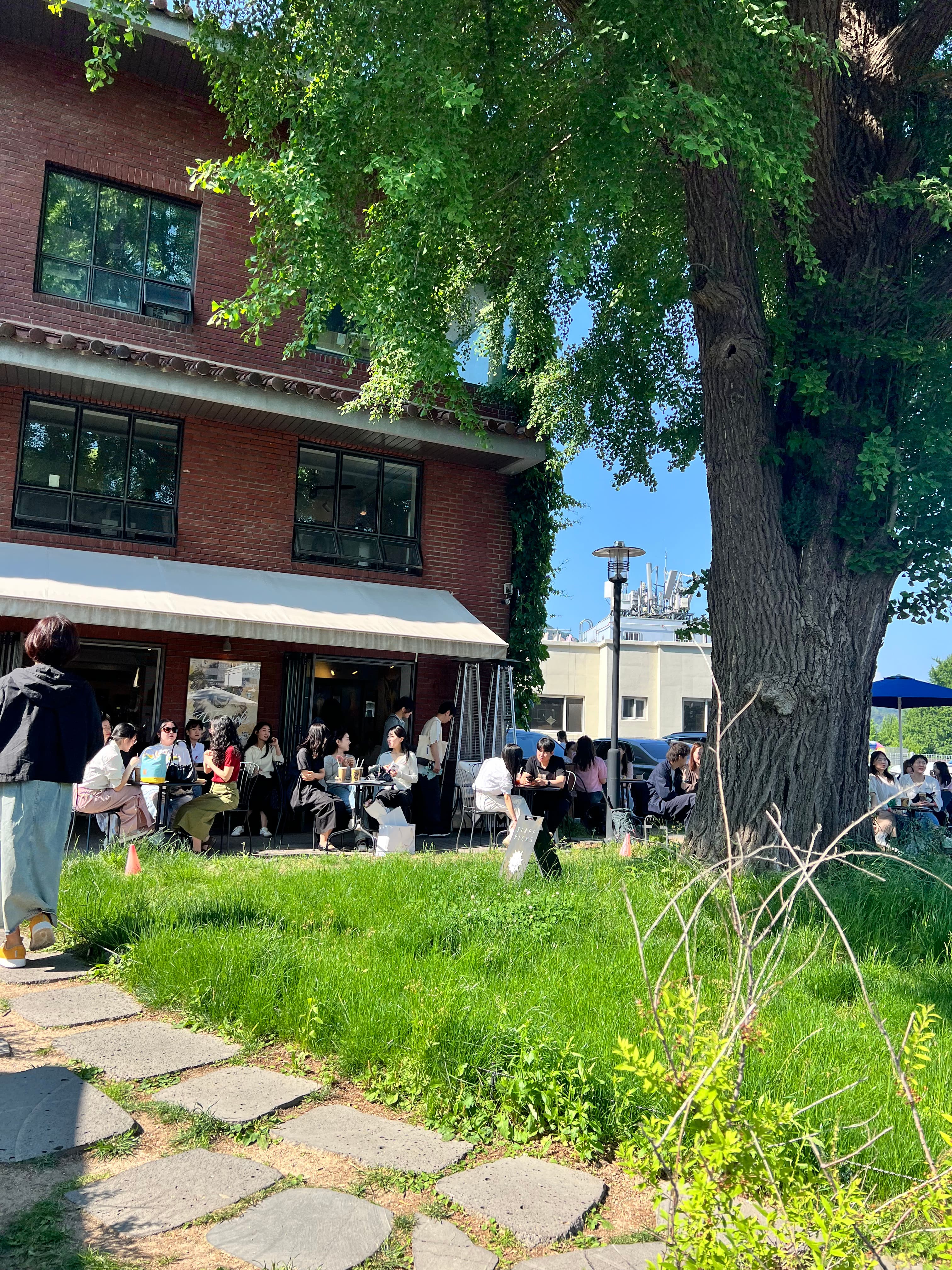 People gathered outside a red-brick cafe beneath a large green tree in Seoul